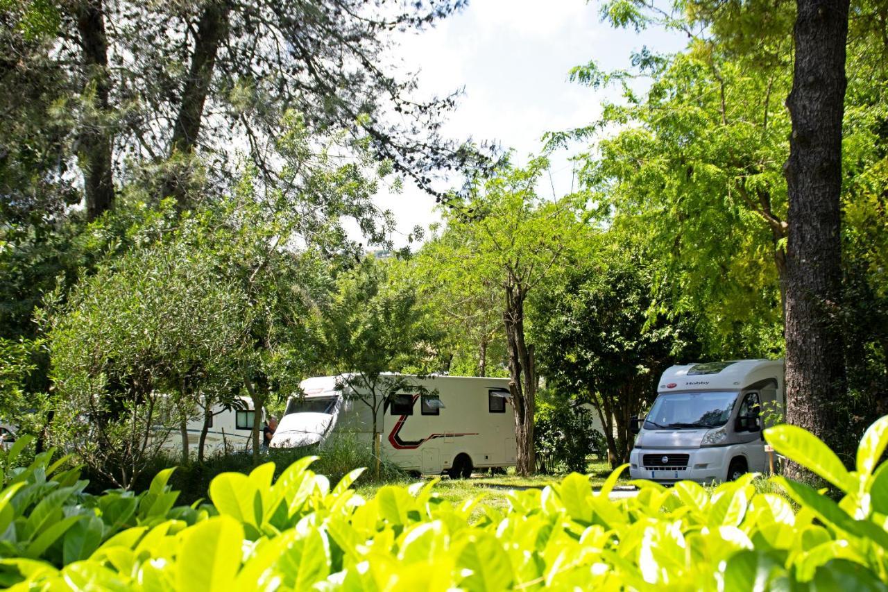 Camping Les Mimosas 호텔 Pégomas 외부 사진